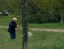 Suns un skrējējs! Kā rīkoties?