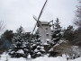Foto iesūtīja: Dzintra Kiršteine