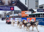 Vīksnei vēsturisks panākums prestižajā Finnmarksloppet kamanu suņu sportā