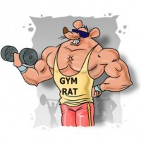 gym rat