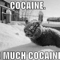 Kokaīns