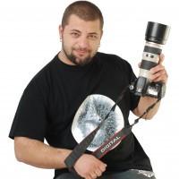 kozitis