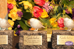 Video: Rīgā pasniegta Gada balva kultūrā „Baltais zvirbulis”