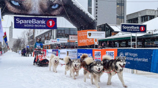 Vīksnei vēsturisks panākums prestižajā Finnmarksloppet kamanu suņu sportā