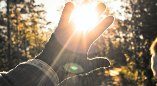 Ar ko emocijas atšķiras no jūtām?