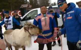 Video: Phjončhanas trīskārtējais čempions dāvanā saņem dzīvnieku