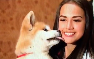 Video: Zagitova tiek pie kārotā suņuka