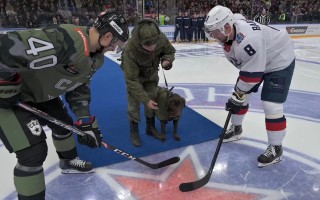 Video: Pirms "armijnieku" cīņas armijnieku suns veic simbolisko iemetienu