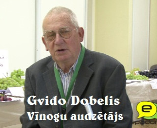 Video: "Latvijas vīnogas ir vitamīniem bagātākas": intervija ar vīnogu audzētāju Gvido Dobeli