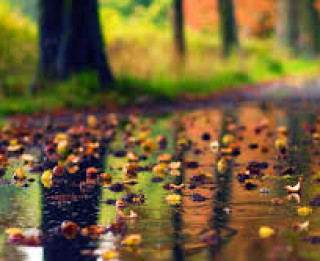 Rudens lietus- arī tajā slēpjas sava burvība