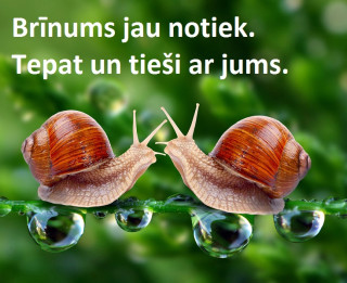 Brīnums jau notiek. Tepat un tieši ar jums