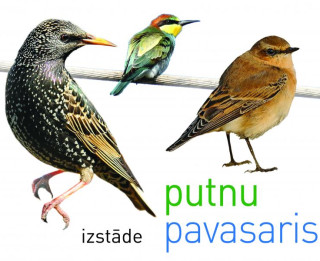Putnu pavasaris Dabas muzejā