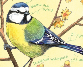 Kā nodarbināt zinātkāru skolēnu?