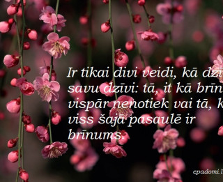 Tava vārda skaidrojums (nozīme) un ietekme uz tavu likteni. 24. oktobris - Renāte, Modrīte, Mudrīte