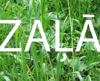 ZAĻĀ. Rīgas Lutera draudzes mākslinieku izstāde