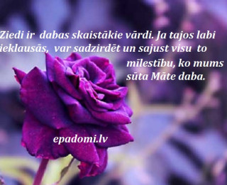 Tava vārda skaidrojums (nozīme) un ietekme uz tavu likteni. 28.septembris- Svetlana, Lana, Sergejs