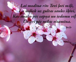 Tava vārda skaidrojums (nozīme) un ietekme uz tavu likteni. 8. oktobris - Aina, Anete