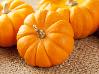 Ķirbis. Mazā pavārgrāmata