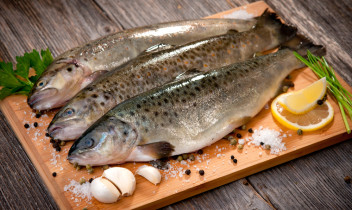 Padomi, gatavojot zivju ēdienus