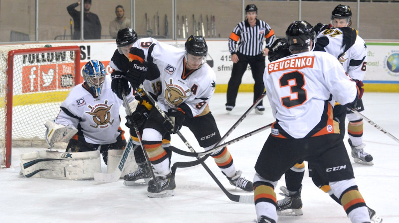 Foto: www.sfbulls.com