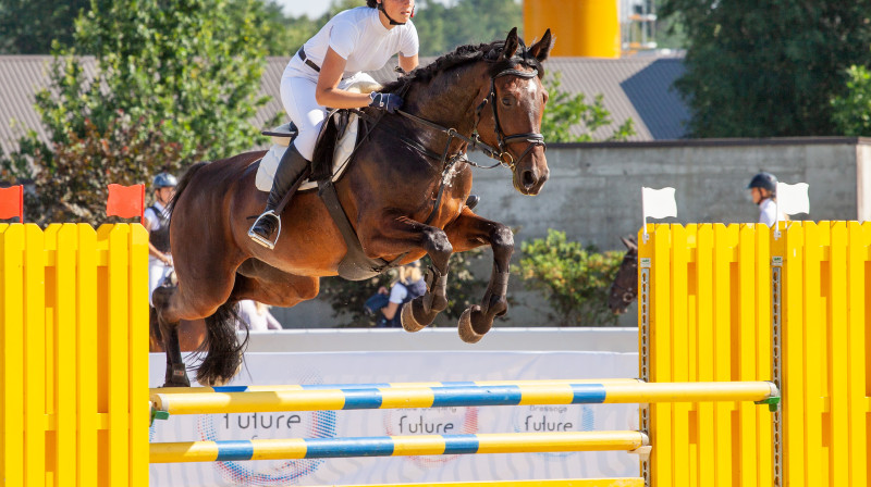 Labākais 5 gadus vecais Baltijas hanoveru šķirnes zirgs Perla 
Foto: lszaa.lv