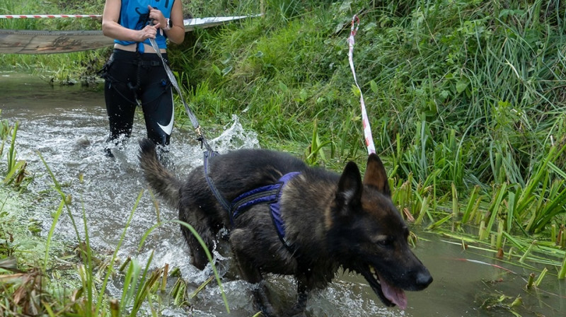 Uzvarētāja sieviēsu konkurencē Gunda Šabanova ar suni MAXX. Foto: Zigmunds Klušs