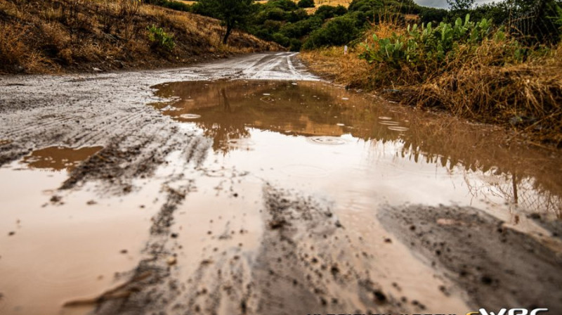 Viens no Grieķijas WRC ātrumposmiem. Foto: Vladislav Maschl