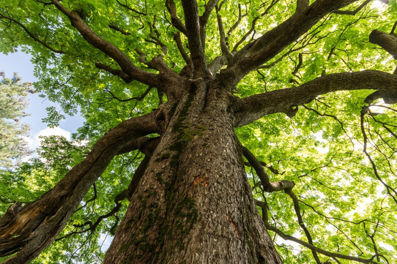 Eiropas Komisija paliek pie novecojušiem mērķiem seg izmešu samazināšanā