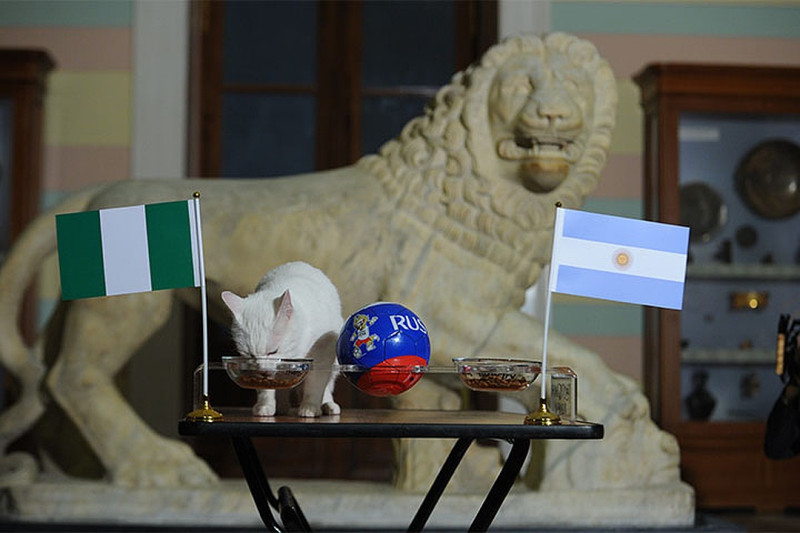 Panākumiem bagātais kaķis prognozē, ka Nigērija pieveiks Argentīnu
